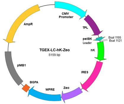 TGEX-LC-hK-Zeo map